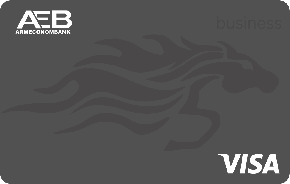 Visa Business