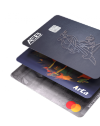 Visa Guru Քարտ
