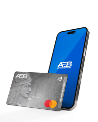 Visa Guru Քարտ