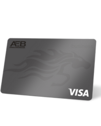 Visa Guru Քարտ