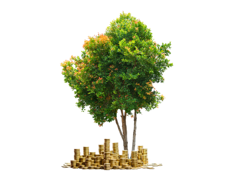 ECOEASY