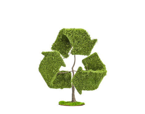 Renewable energy development