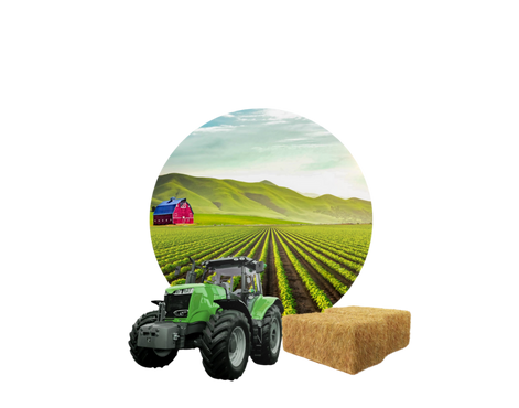 Support of the agricultural sector with the GF program